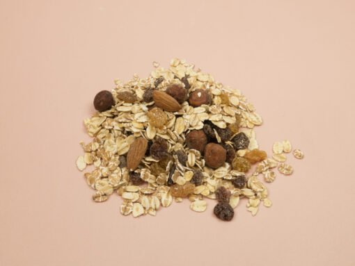 Muesli puur natuur