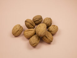 Walnoten in dop